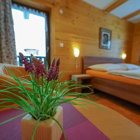 Sagan Πανσιόν 3*